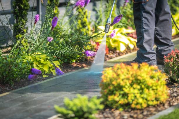 Best Fence Cleaning  in Hornell, NY