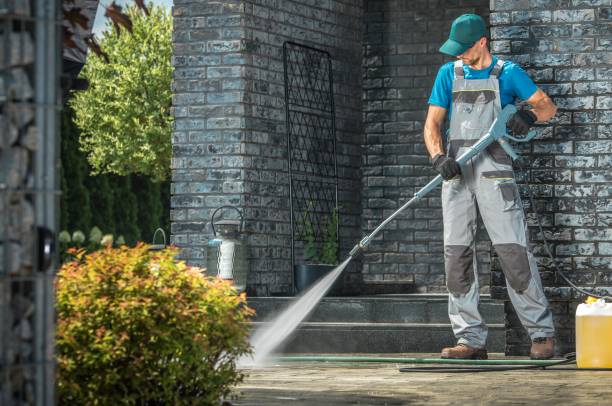 Best Gutter Cleaning  in Hornell, NY