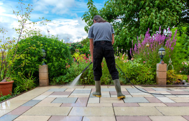  Hornell, NY Pressure Washing Pros