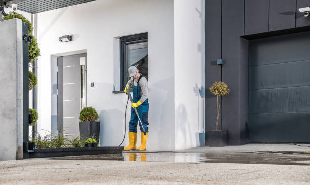 Trusted Hornell, NY Pressure Washing Services Experts